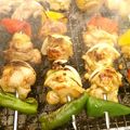 じんとっと's cooksnap of when they made アウトドアはこれで決まり！なシシカバブ.