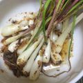 yaokiyaoki's cooksnap of when they made 島らっきょとみょうがの鯖節ごま油和え.