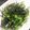 arman00's cooksnap of when they made 水菜とひじきのサラダ.