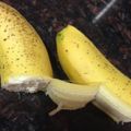 happykote's cooksnap of when they made 必見!面白いバナナの剥き方✿.