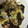 ミッキーの母's cooksnap of when they made 白菜と豚肉の中華風炒め物.