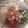 クック3TBJYW☆'s cooksnap of when they made 長芋とオクラの梅あえ.