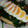 あっちゃむ。's cooksnap of when they made きのことほうれん草のソテー♡半熟卵添え.