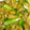 マスカル12's cooksnap of when they made 時短！アスパラと薄揚げの炒めもの.