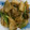 ハッピ～369嬢's cooksnap of when they made 簡単！かぶと豚肉の生姜炒め.