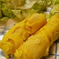 nikonikoru's cooksnap of when they made マレーシアの軽食　ロティジャラ.