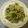 UMAe's cooksnap of when they made 春の旬な食材★あさりと菜の花のパスタ.