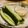 yukanosuke's cooksnap of when they made 我が家の味噌マヨきゅうり.