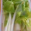 ふわわらら's cooksnap of when they made セロリの冷蔵保存方法.