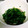 ときときち's cooksnap of when they made 菜の花のからし和え♪.