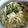 hinato母's cooksnap of when they made ヘルシー★おからDEポテサラ風★.