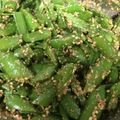 むつりんごまま's cooksnap of when they made スナップエンドウの胡麻和え.