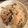 ダイゴロウママ's cooksnap of when they made ホタテとワカメスープの炊き込みごはん.