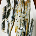 あっけみん's cooksnap of when they made さよりの塩焼き。.