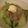 りりィさん's cooksnap of when they made 白菜とツナのにんにく煮☆バターのせ.