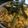 mskmsk7's cooksnap of when they made 簡単☆そぼろ丼.