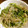 mentaico00's cooksnap of when they made もやし万歳♪豆苗にんにく炒め.