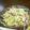 ☆YDK☆'s cooksnap of when they made 簡単！鶏もも肉とキャベツ炒め.