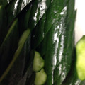 minmin83's cooksnap of when they made きゅうりのからし漬け.