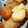 まやクマ's cooksnap of when they made とろ～ん！ケーキ屋伝授！！カスタード☆.
