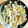 辰ちゃんです。's cooksnap of when they made 酢でさっぱり！！新玉ねぎの中華炒め.