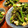 鮎めし♀'s cooksnap of when they made 菜の花のプチプチたらマヨ和え.