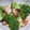 はいりほう's cooksnap of when they made めかじきでささっと炒め.