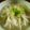 TYSK's cooksnap of when they made 簡単すぎる！にゅうめん。.