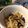 WoodChoco's cooksnap of when they made 白菜サラダ.