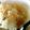 あきむつ♪'s cooksnap of when they made シチュー専用ご飯☆ミ.