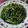mochipee's cooksnap of when they made 超簡単¡小松菜とたらこの麺つゆバター.
