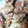 ✳︎riokanya✳︎'s cooksnap of when they made 友だちん家のから揚げ.