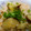 mama57's cooksnap of when they made さつまいもと帆立の炊き込みご飯.