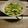 クック8U52QG☆'s cooksnap of when they made 食べやすい！カニカマときゅうりの酢の物.
