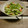 クック8U52QG☆'s cooksnap of when they made 食べやすい！カニカマときゅうりの酢の物.