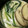 mayumi1430's cooksnap of when they made 蒸し器なくても簡単！白だしの茶碗蒸し.