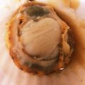 ロンロン草原's cooksnap of when they made 殻付き帆立（ホタテ）のバター醤油焼き.