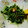 なおころピッコロ's cooksnap of when they made 簡単☆もやしと豆苗の和え物.