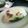 紫木一姫's cooksnap of when they made アボカドグリル.