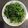nanasworld's cooksnap of when they made 豆苗の中華炒め.