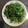 nanasworld's cooksnap of when they made 豆苗の中華炒め.