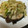ひたゆ〜♪'s cooksnap of when they made ブリの塩焼きネギと一緒に.