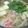 ゆうの嫁さん's cooksnap of when they made 野菜たっぷり♫♬柚子塩しゃぶしゃぶ.
