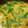 82tarou's cooksnap of when they made 俺流！絹さやの玉子とじ.