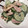 Mダッシュ☆'s cooksnap of when they made ♪超簡単♪きゅうりとワカメのサラダ.