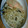 マウアー's cooksnap of when they made 塩じゃけときのこの蒸し焼き.
