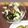 tinaya0208's cooksnap of when they made ★超簡単酢の物アレンジ★ささみもずく酢.