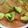 ＊もも＊'s cooksnap of when they made グレープフルーツとアボカドのサラダ♪.