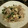 furumie's cooksnap of when they made ウチの定番☆豚と小松菜の卵炒め☆.