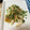 SACAS★'s cooksnap of when they made かいわれとささみのわさび和え.